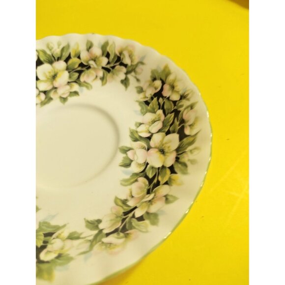 Vintage Royal Albert Tea Cup and Saucer Set, Fragrance Series, Orange Blossom - Picture 9 of 12